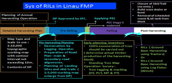 sys rils linau fmp